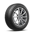 Advantage Control All-Season 195/65R15 91H Tire